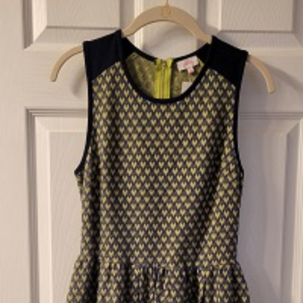 NWT Pixley Layna Textured Fit and Flare Dress